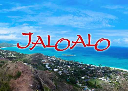 JALOALOカードプログラム
